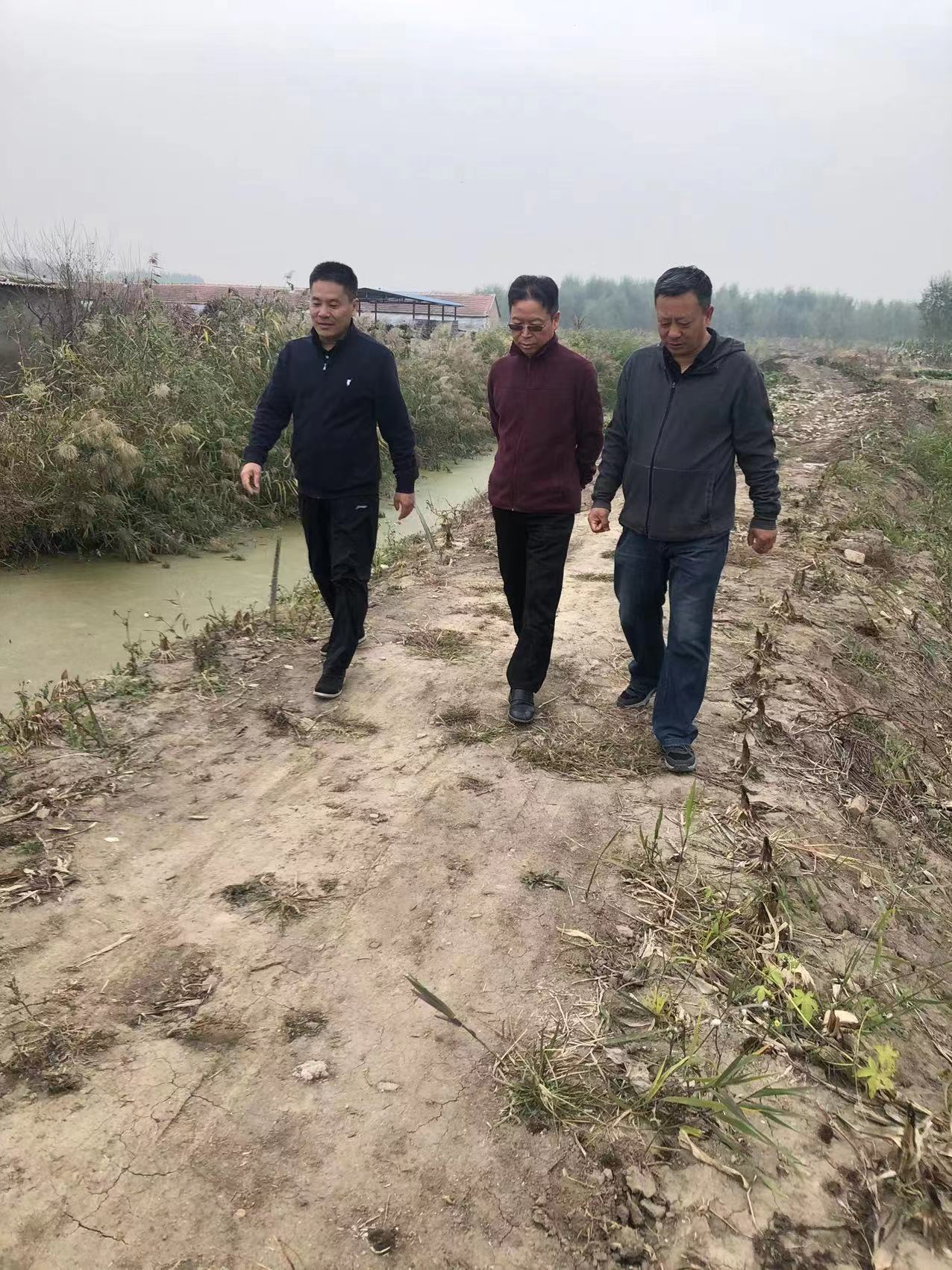 圖片1.png 圖片1.png